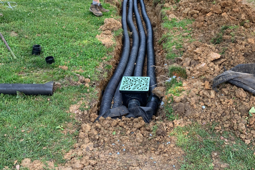 Irrigation & Maintenance